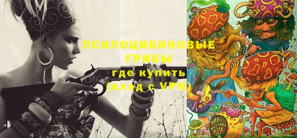 героин Каменка