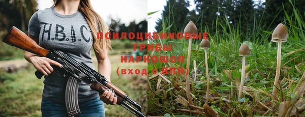 дмт Каменногорск