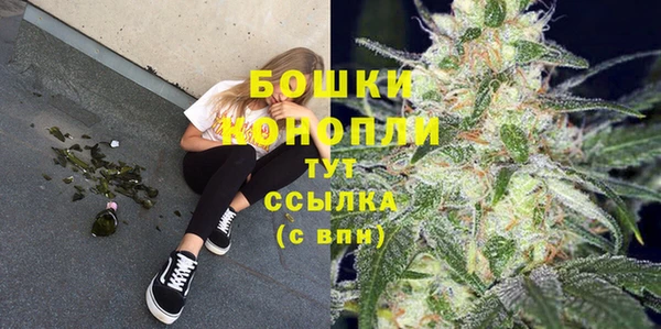 дмт Каменногорск