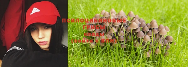 дмт Каменногорск